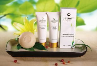 日本值得购买的化妆品与护肤品推荐